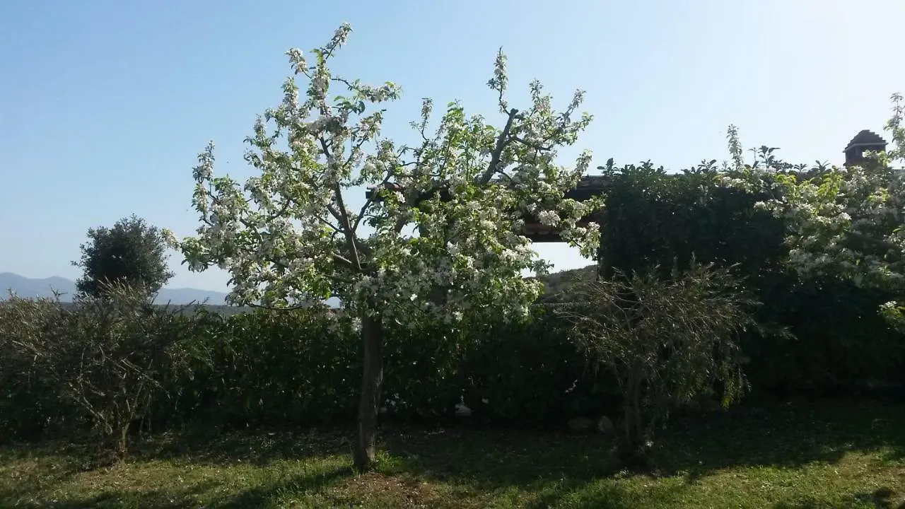 Podere Mammoleta Fattoria la Marsiliana Farm stay